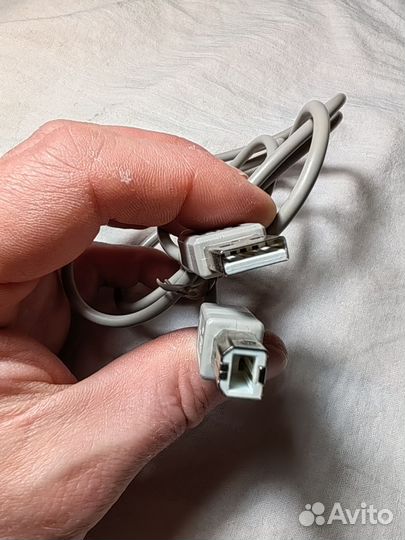 Кабель USB - USB Type-B