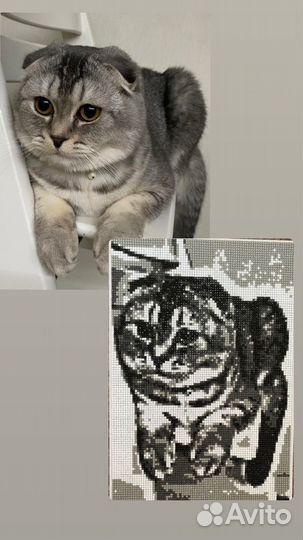 Алмазная мозаика по фотографии или картинке