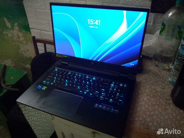 Acer predator