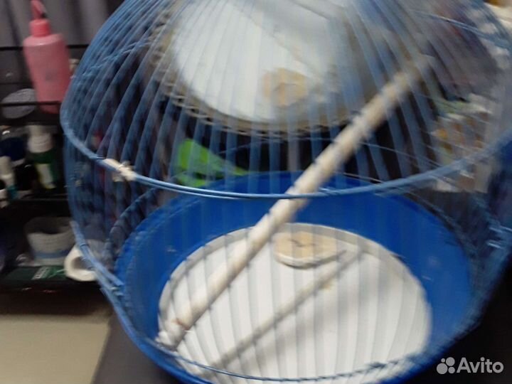 Клетка для попугая