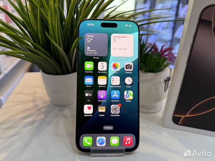 iPhone 16 Pro Max, 256 ГБ