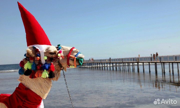 Новый год в Египте