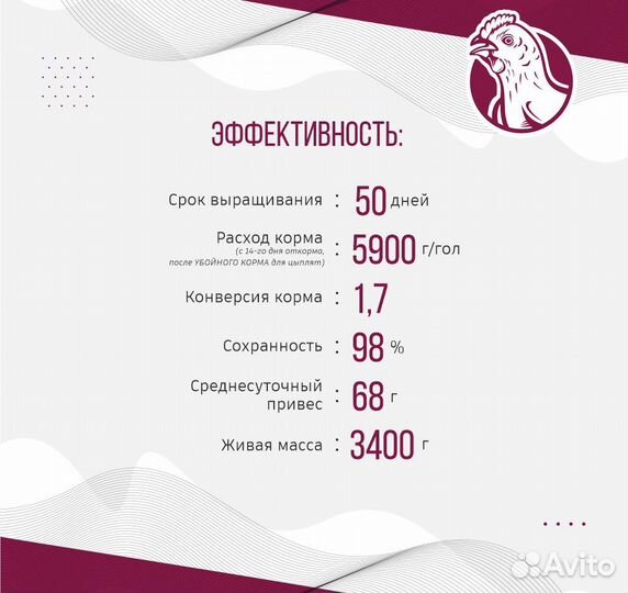 Убойный корм для бройлеров от 14 дней