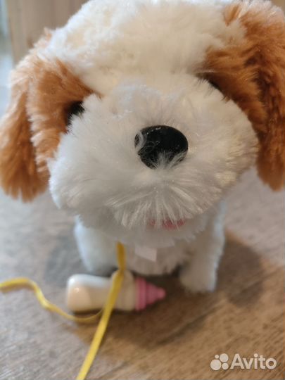 Собака на пульте управления