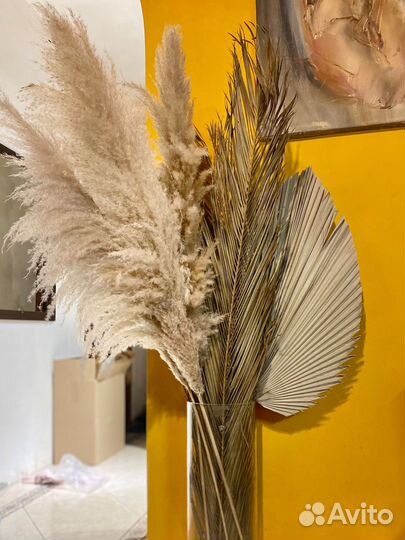 Листья Финиковой Пальмы Сухоцветы