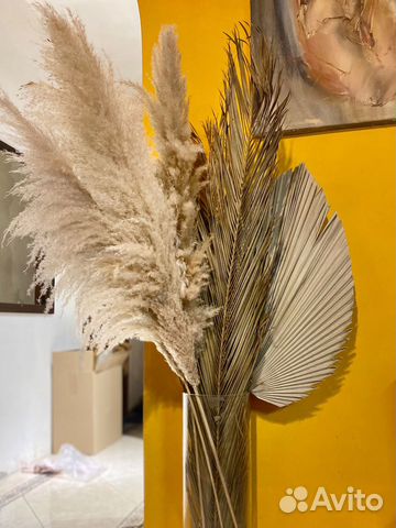 Листья Финиковой Пальмы Сухоцветы
