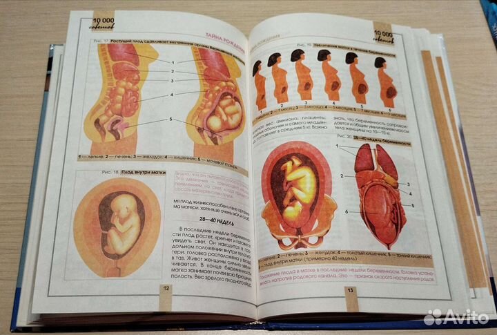 1000 советов для тех, кто ждет ребенка