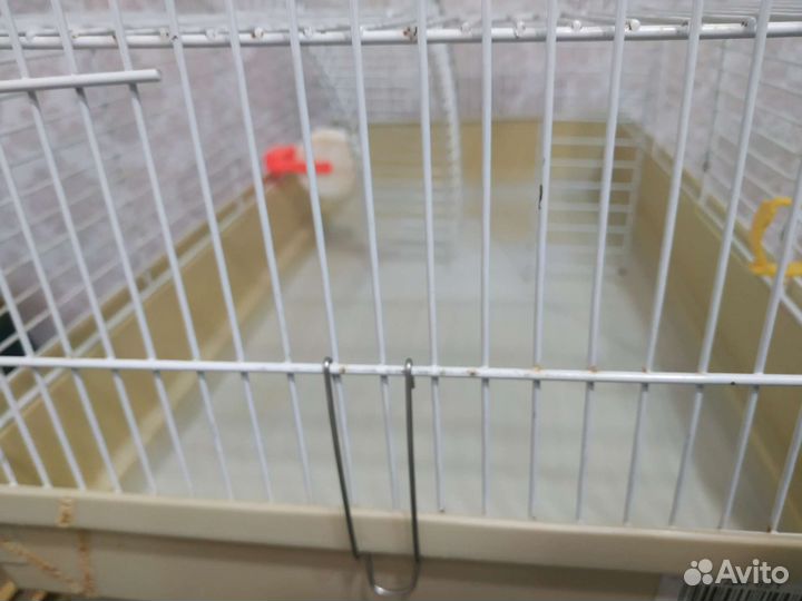 Клетка для грызунов 57/31/31