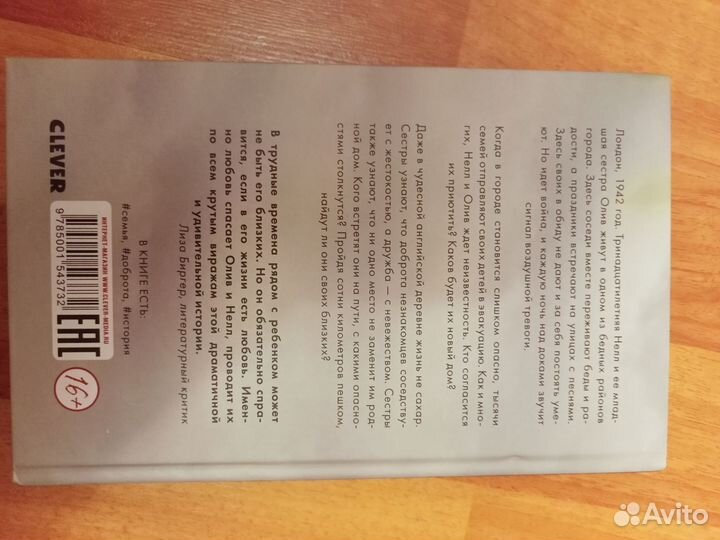 Сэнди Тейлор. Сбежавшие сестры