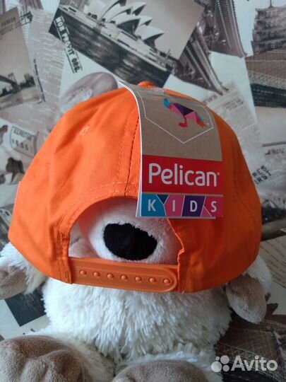 Новая бейсболка pelican