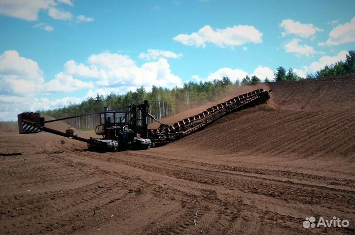 Чернозем садовый