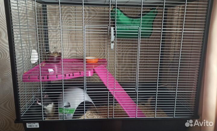 Продам клетку для крыс или других мелких животных