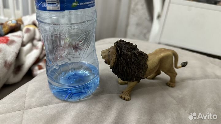 Лев в хорошем состаянии