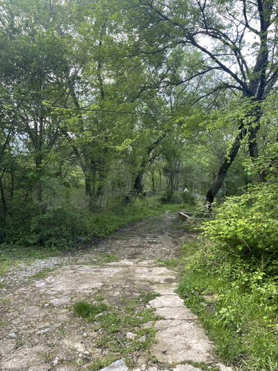 Участок 22,7 сот. (ИЖС)