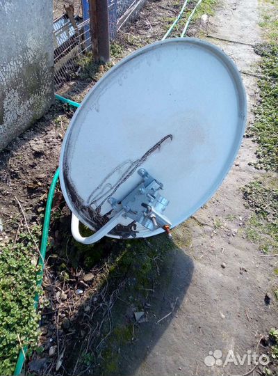 Тарелка триколор