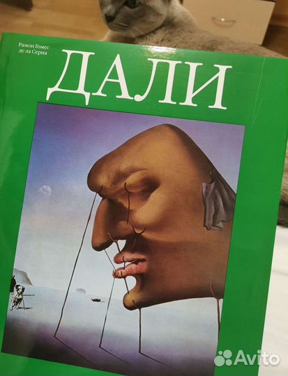 Книга Сельвадор Дали