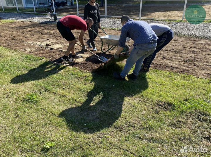 Отличный газон премиум