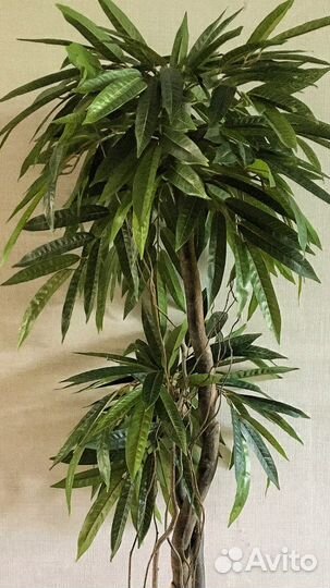 Искусственное дерево Манго