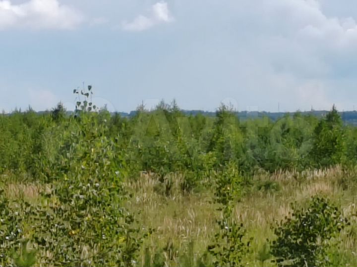 Участок 5,5 сот. (ИЖС)