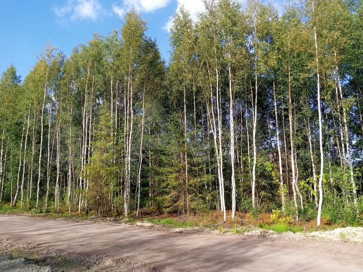 Участок 9 сот. (СНТ, ДНП)