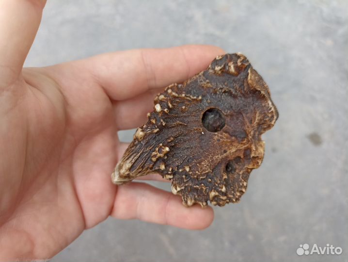 Нэцкэ-пепельница 