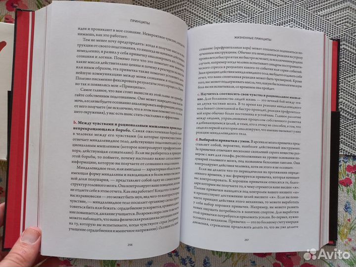 Рэй Далио принципы книга