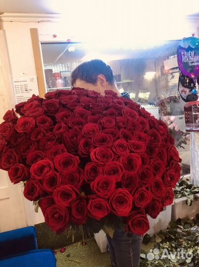 Розы 101 штука premium