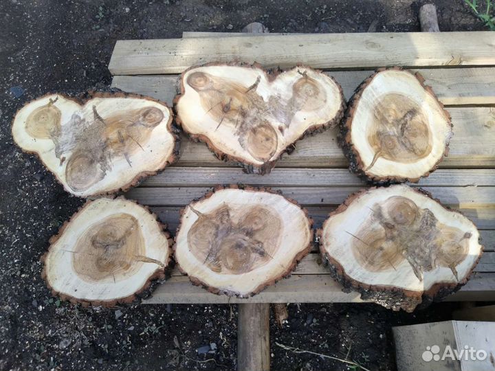 Спил дерева