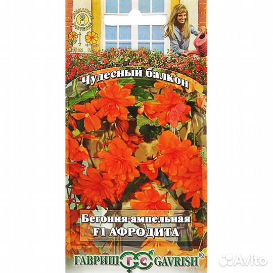 Бегония Афродита ампельная F1