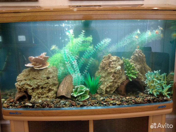 Обслуживание аквариумов