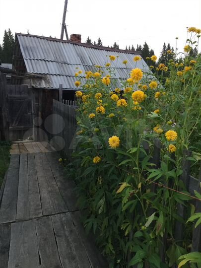 Дом 50 м² на участке 8 сот.