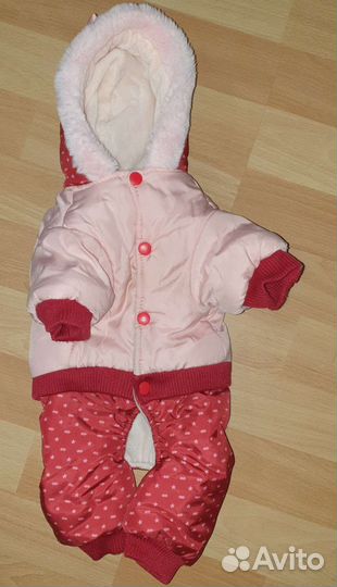 Одежда шлейки для собаки, игрушки для кошки