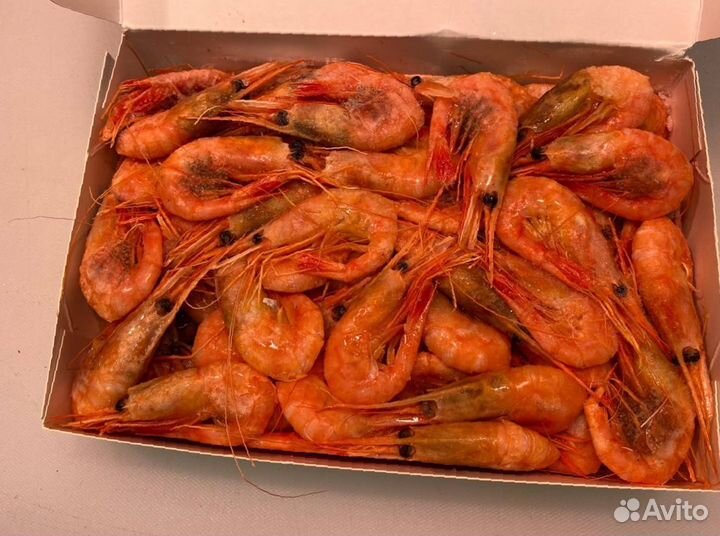 Креветка северная. Доставка. Опт