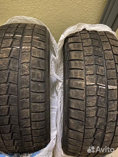 Dunlop Winter Maxx WM01 215/55 R17