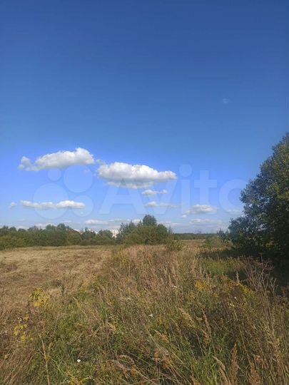 Участок 1,7 га (СНТ, ДНП)