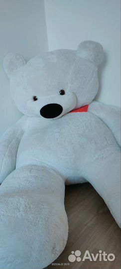 Плюшевый мишка, 200см