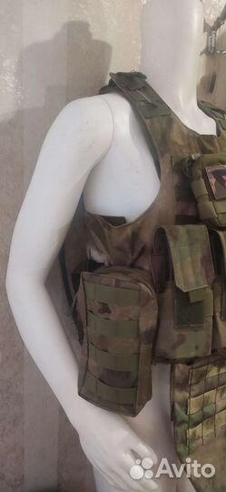 Плитник мох, с плитами