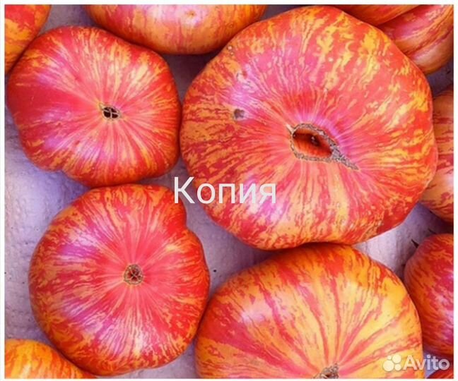 Семена помидор