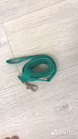 Амуниция для собак