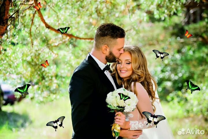 Салют из Живых Тропических Бабочек с/б-18