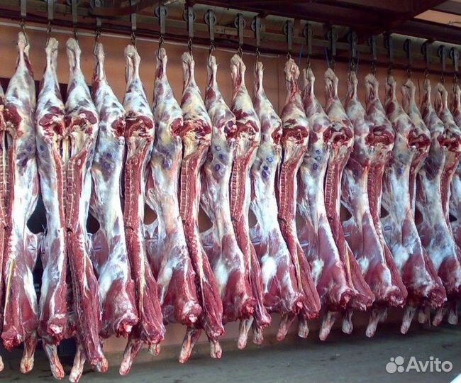 Мясо баранина свежая