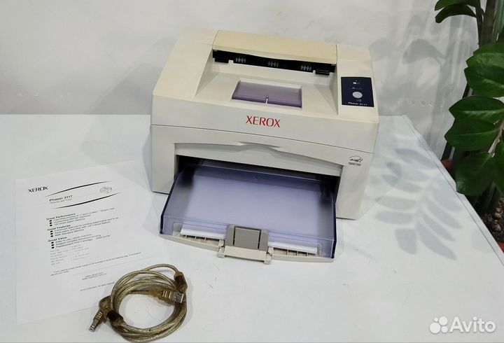 Принтер xerox 3117