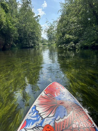 Аренда/прокат sup board по реке оредеж