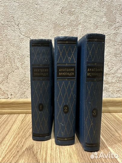 Анатолий Виноградов 