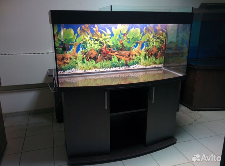 Аквариум 350 полукруглый, свет, крышка, тумба