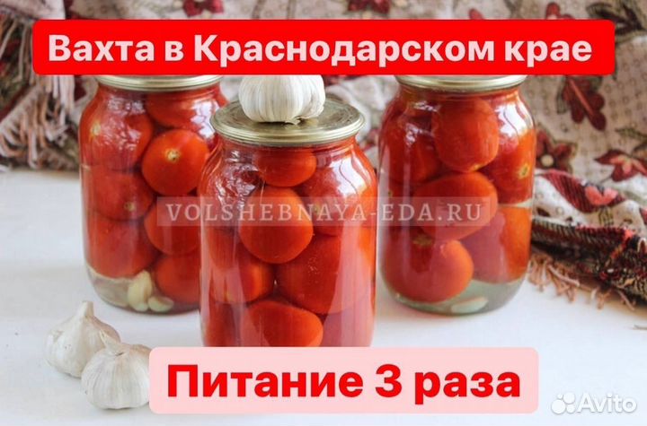 Разнорабочие на консервный завод вахтой
