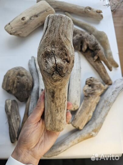 Дрифтвуд, плавун, коряги набор от 11 до 32 см