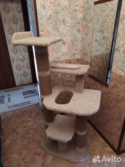 Когтеточки, комплексы и домики для кошек