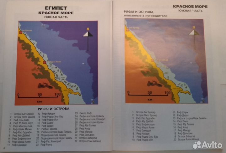 Путеводитель по рифам Красного моря