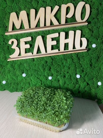 Микрозелень